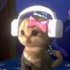 meowingdonkey