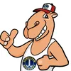 cameltow.ie