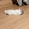 queengoat77