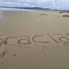 andremacoro