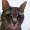 kaydtr