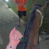 rr__77__6