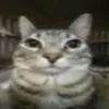 userzivbnz36ky