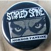 stapled_spine_fanzine