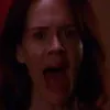 thatonedumbitxcs