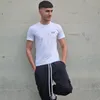 cristiano.sebastiani