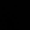 quasi.7