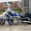harleygirlvrod