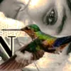lidiaaraceliroldan7