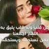 user866205226