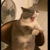 gloriacanjura