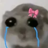 kimbapk864