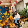 phucnguyen735