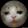 usertt01234567890