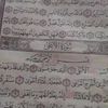 .hamad59189546