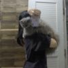 ssssugarrush
