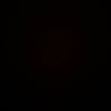 ziggy_80653