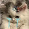anisa.tu
