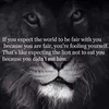 der_misanthrop
