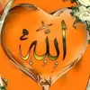 salwa.ahmed316