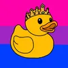 xxduck_queenxx1