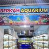 berkah_aquarium