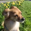 chelle230481