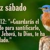 serafinlucana