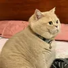 ericccaaap