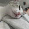 abbyclimb