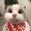 mr.heartsteel