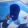 frxshbaboon