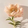thao14036