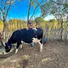 mattos.z