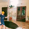phuc.lam20144