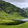 williammitchell010