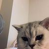 mea_714