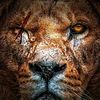 mubashir_khan994