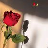 .fatma8325