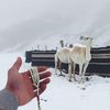 ibrahim_1401