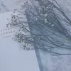 bbb_lll2