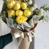 nabel384
