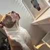 scottg123456789
