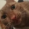 ulli_67