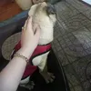 usertiktok19022019