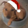 ☯︎☃︎꧁𝚘𝚝𝚊𝚔𝚞꧂☯︎☃︎