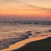 lenaaa_56_