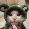 amalk_77