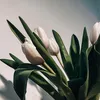 no.rain.no.flowers2