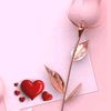 user199278010